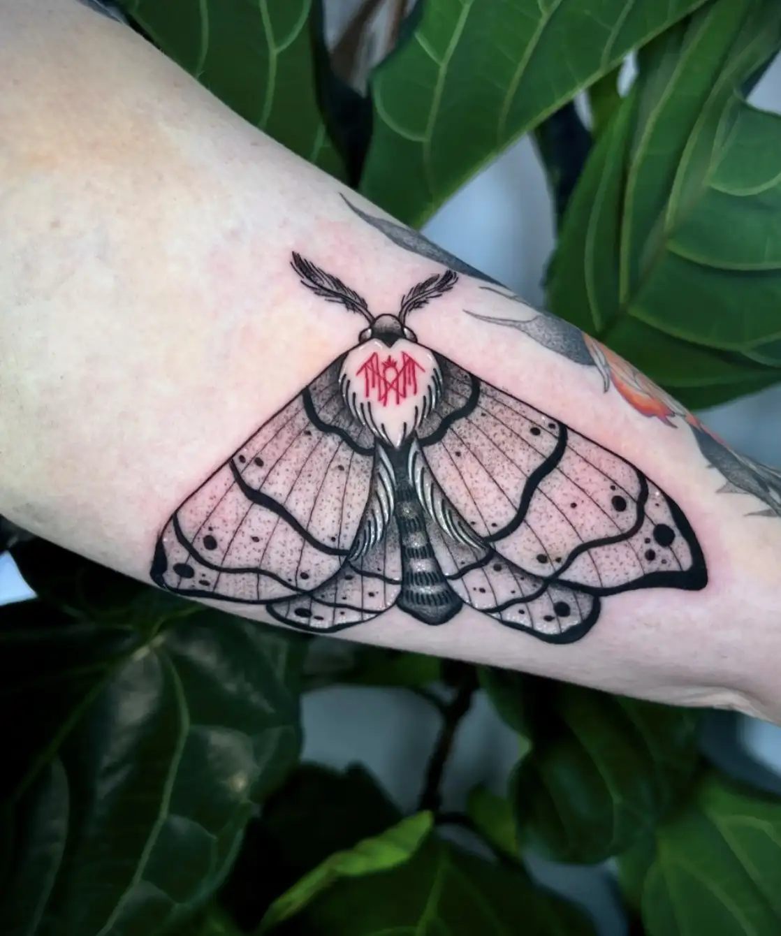 Moth insect tattoo with detailed wing patterns by Ayah at Omnia Tattoo Melbourne